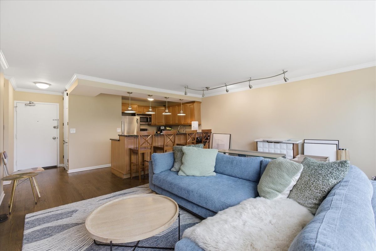 1360 N Sandburg Terrace 510C