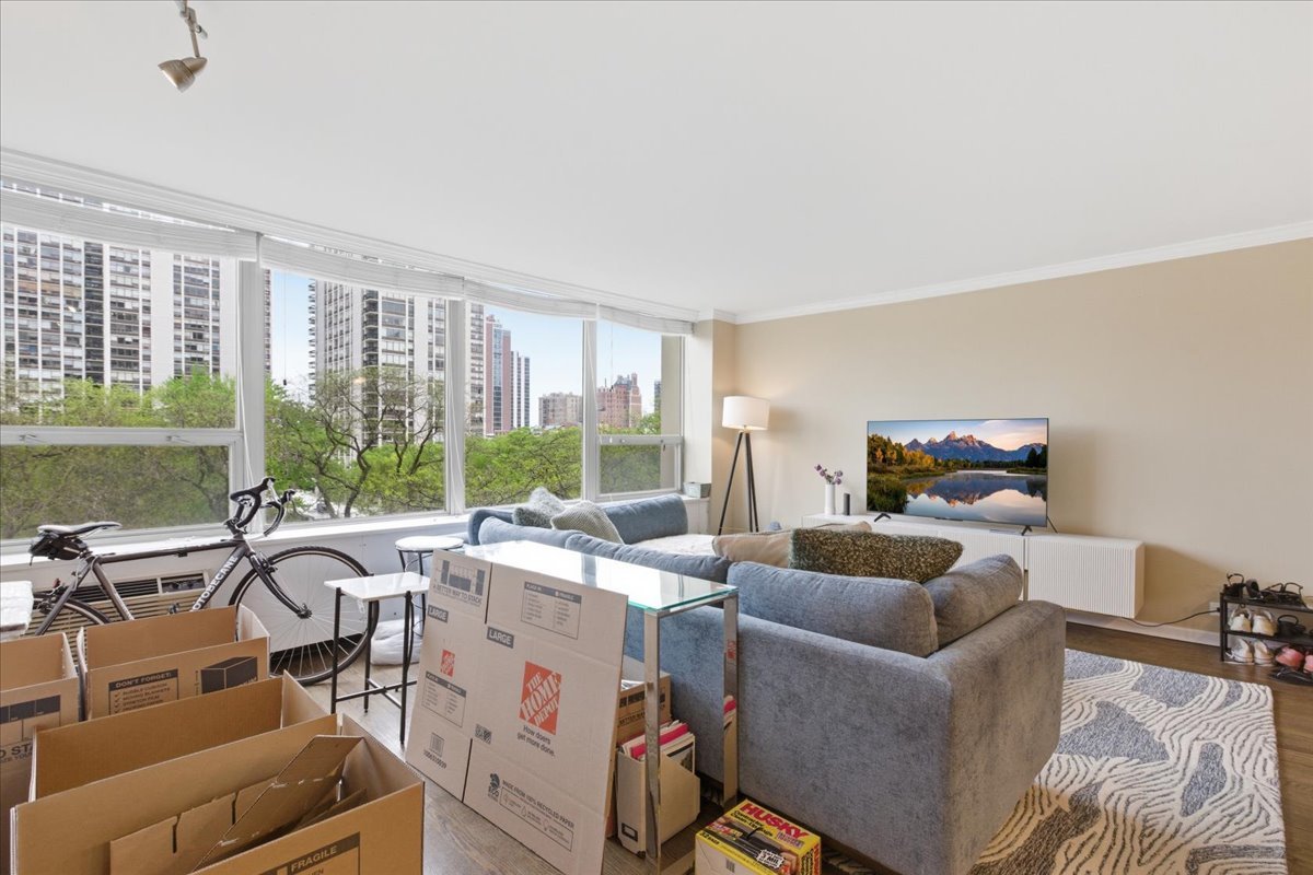 1360 N Sandburg Terrace 510C