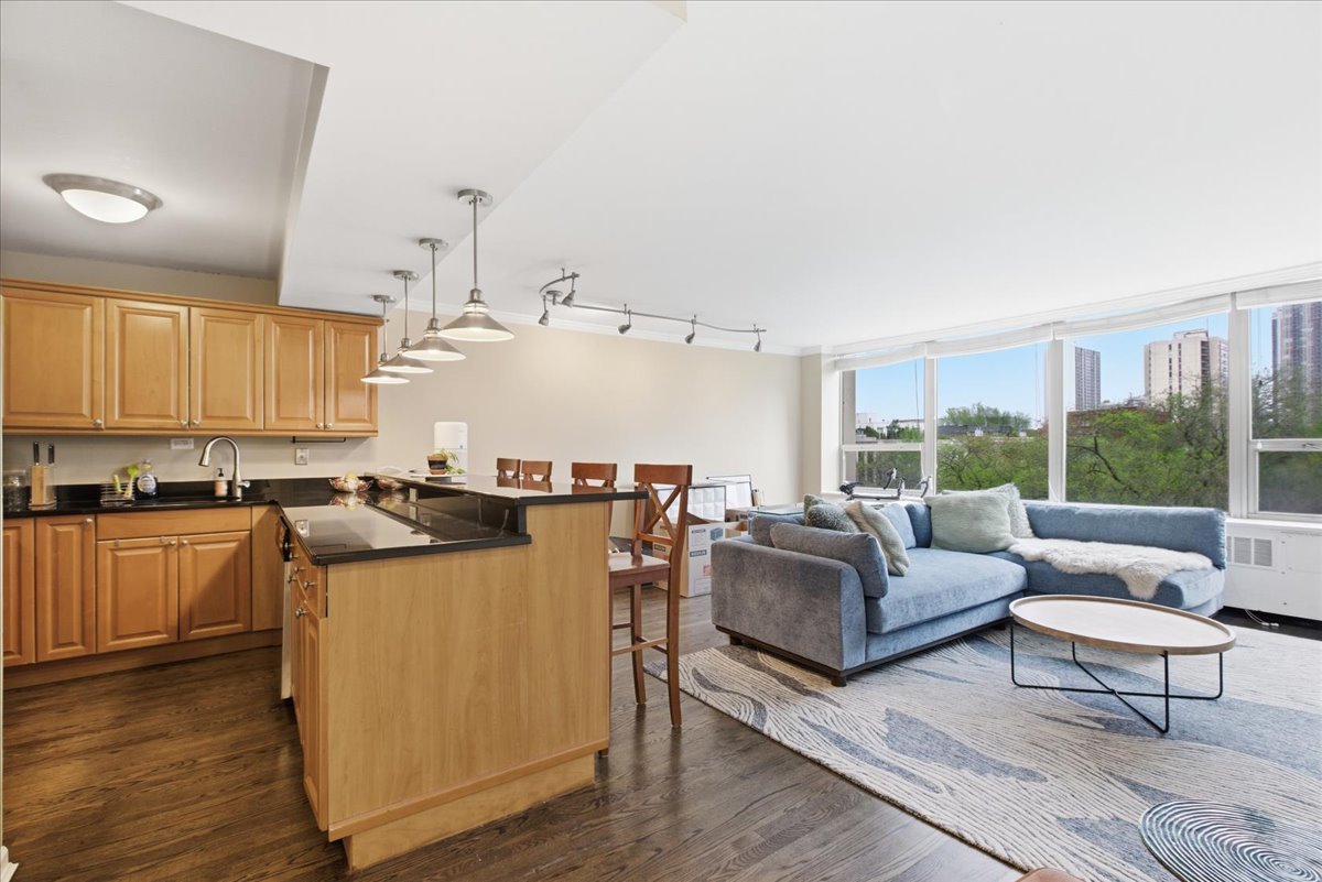 1360 N Sandburg Terrace 510C