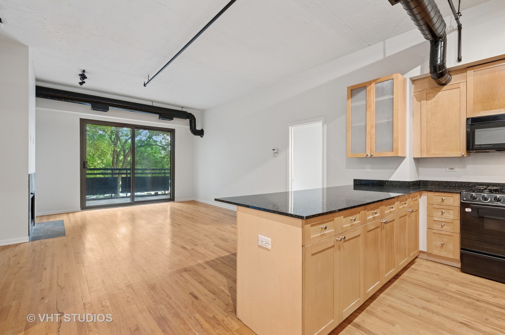 1735 W Diversey Parkway 208