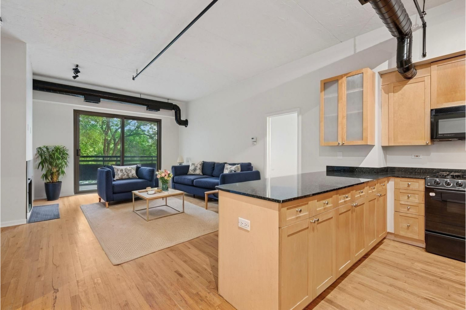 1735 W Diversey Parkway 208