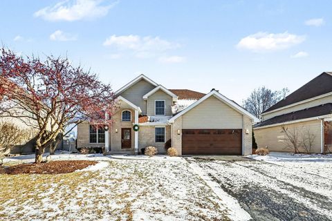 15213 Dan Patch Drive Plainfield IL 60544
