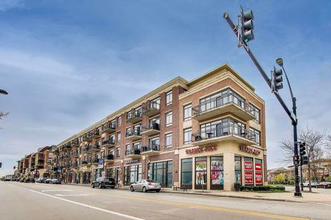 170 N Northwest Highway 205 Park Ridge IL 60068