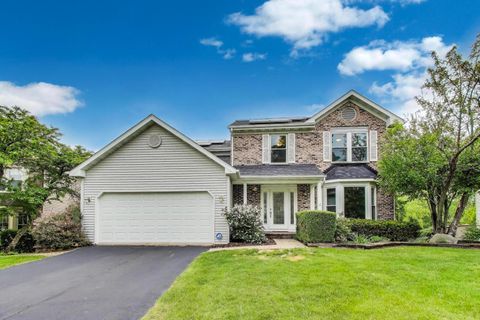 713 Mohican Trail Lake In The Hills IL 60156