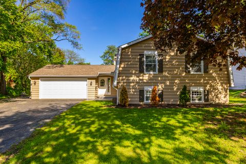 4435 Black Partridge Lane Lisle IL 60532