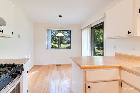 Tiny photo for 1251 Williamsburg Drive #D-1, Schaumburg, IL 60193 (MLS # 12499799)