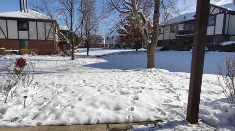 Tiny photo for 1251 Williamsburg Drive #D-1, Schaumburg, IL 60193 (MLS # 12499799)