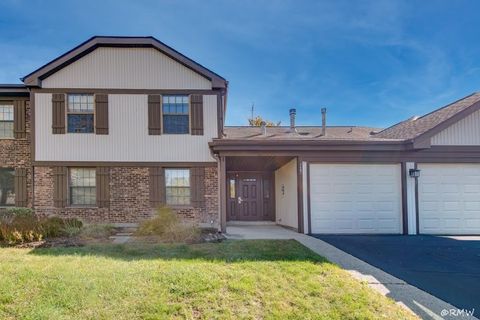 1251 Williamsburg Drive D-1 Schaumburg IL 60193