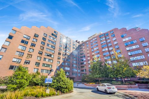 801 S Plymouth Court 711 Chicago IL 60605