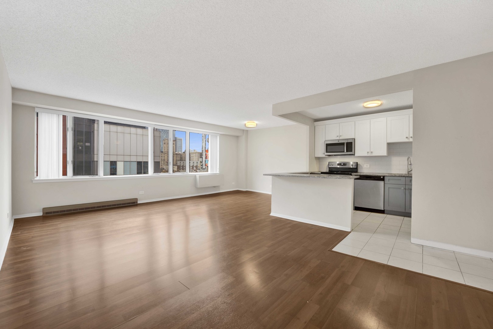 801 S Plymouth Court 711