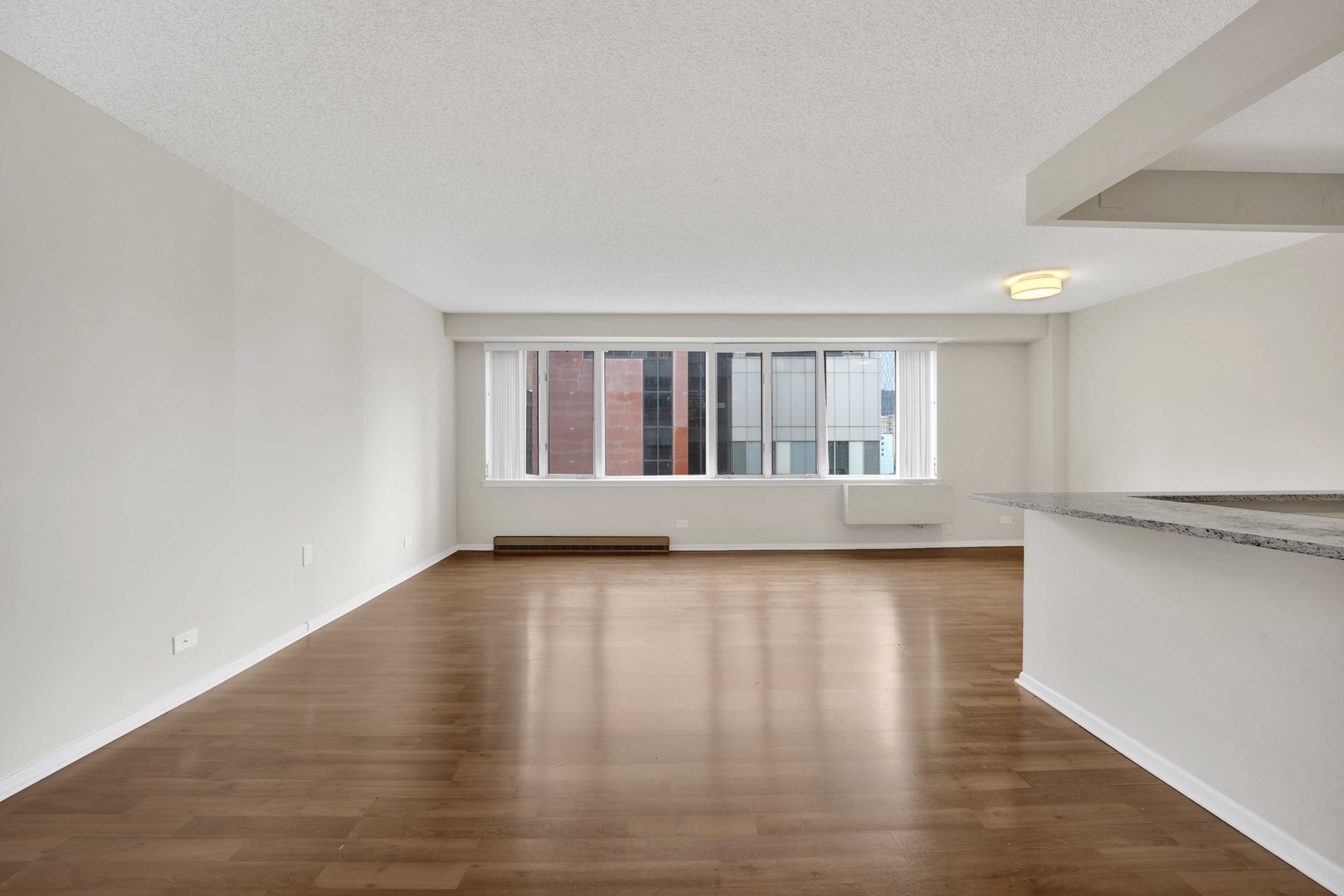 801 S Plymouth Court 711