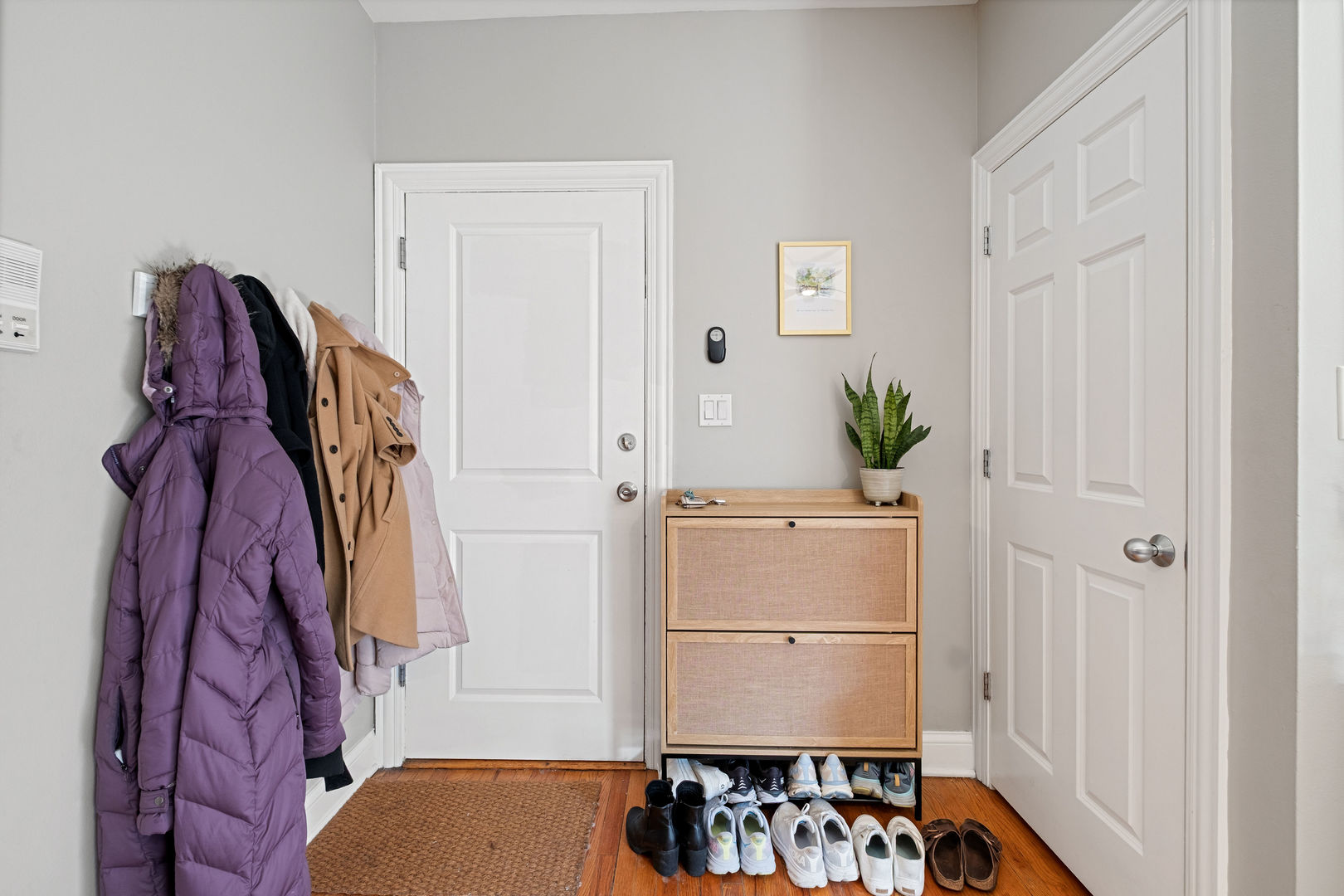 909 W Cornelia Avenue 2S