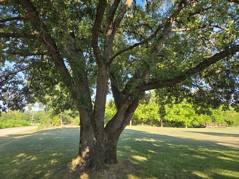 Tiny photo for 17019 Hebron Road, Harvard, IL 60033 (MLS # 12719237)