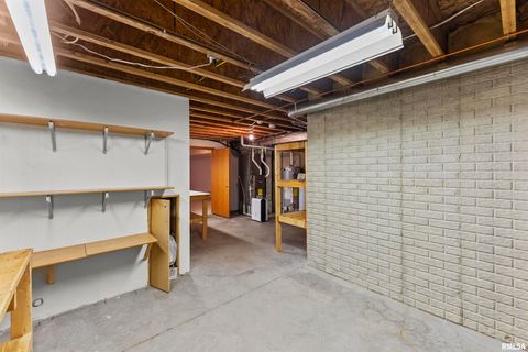 Tiny photo for 2009 VILLA PINES Circle, Carbon Cliff, IL 61239 (MLS # QC4269630)