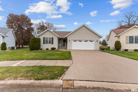 Tiny photo for 2009 VILLA PINES Circle, Carbon Cliff, IL 61239 (MLS # QC4269630)