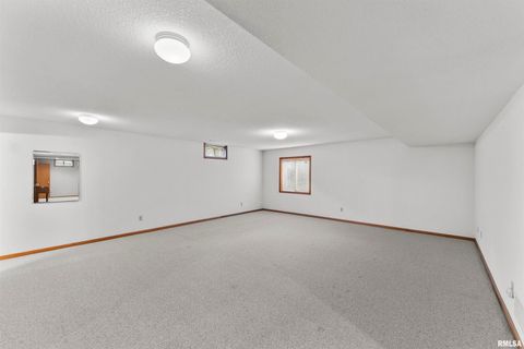 Tiny photo for 2009 VILLA PINES Circle, Carbon Cliff, IL 61239 (MLS # QC4269630)