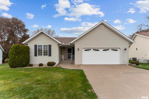 Photo of 2009 VILLA PINES Circle, Carbon Cliff, IL 61239 (MLS # QC4269630)