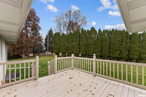 Tiny photo for 2009 VILLA PINES Circle, Carbon Cliff, IL 61239 (MLS # QC4269630)