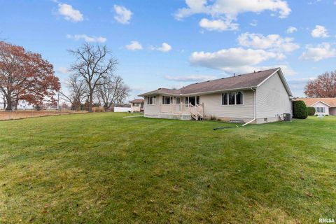 Tiny photo for 2009 VILLA PINES Circle, Carbon Cliff, IL 61239 (MLS # QC4269630)