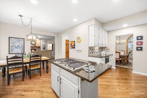 Tiny photo for 3 Rochester Court, Algonquin, IL 60102 (MLS # 12593710)