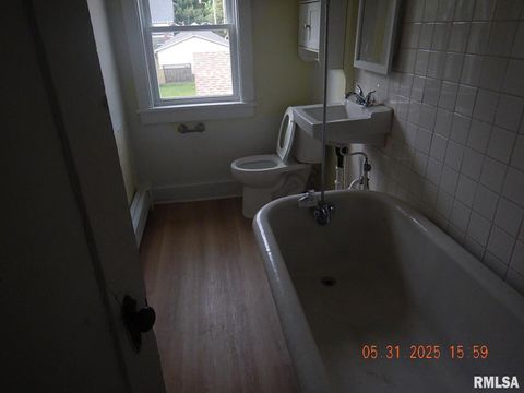 Tiny photo for 525 E Marion Street, Princeton, IL 61356 (MLS # QC4264579)