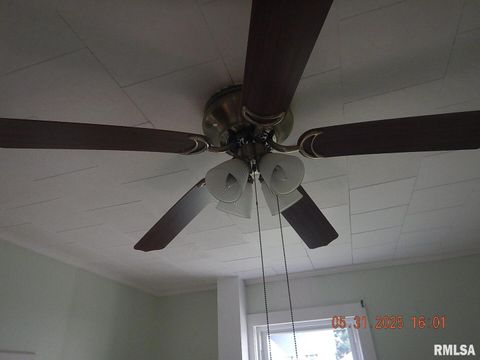 Tiny photo for 525 E Marion Street, Princeton, IL 61356 (MLS # QC4264579)