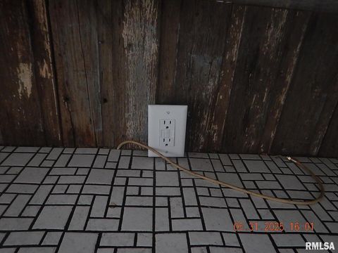 Tiny photo for 525 E Marion Street, Princeton, IL 61356 (MLS # QC4264579)