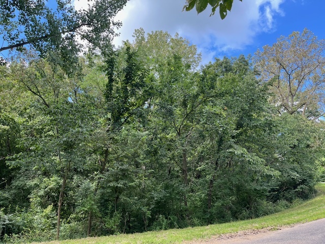 202 Lake Thunderbird Drive