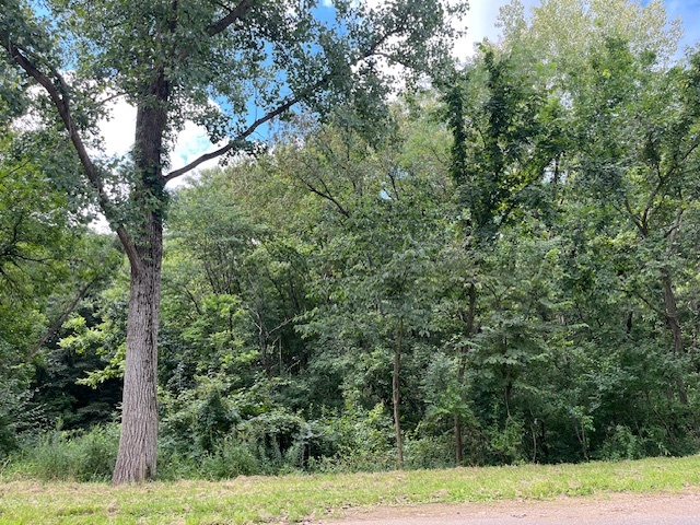 202 Lake Thunderbird Drive