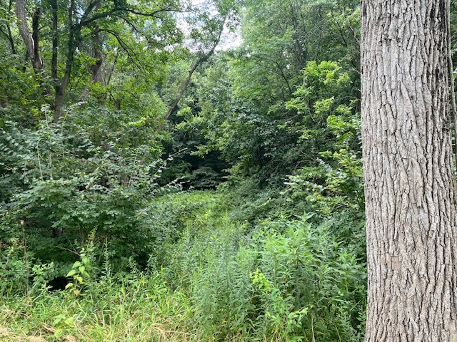 202 Lake Thunderbird Drive