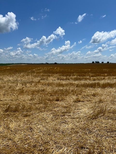 2000 County Road, Varna, IL 61375 - #: 12418286