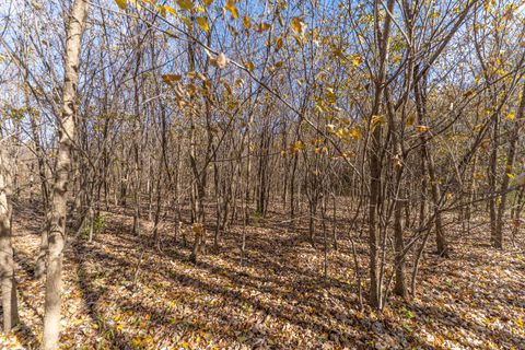 Tiny photo for 9709 Cunningham Road, Winnebago, IL 61088 (MLS # 12550267)