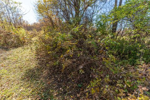 Tiny photo for 9709 Cunningham Road, Winnebago, IL 61088 (MLS # 12550267)