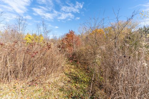 Tiny photo for 9709 Cunningham Road, Winnebago, IL 61088 (MLS # 12550267)