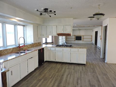 Tiny photo for 2958 E Timberline Court, Crete, IL 60417 (MLS # 12632893)
