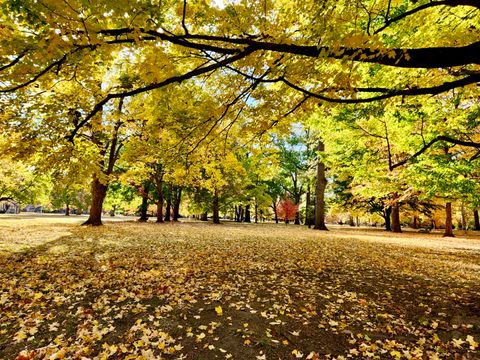 Tiny photo for 402 W Iowa Street, Urbana, IL 61801 (MLS # 12597882)