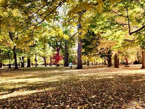 Tiny photo for 402 W Iowa Street, Urbana, IL 61801 (MLS # 12597882)