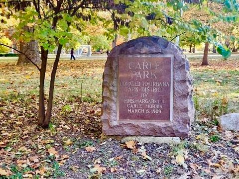 Tiny photo for 402 W Iowa Street, Urbana, IL 61801 (MLS # 12597882)