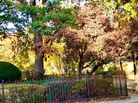 Tiny photo for 402 W Iowa Street, Urbana, IL 61801 (MLS # 12597882)