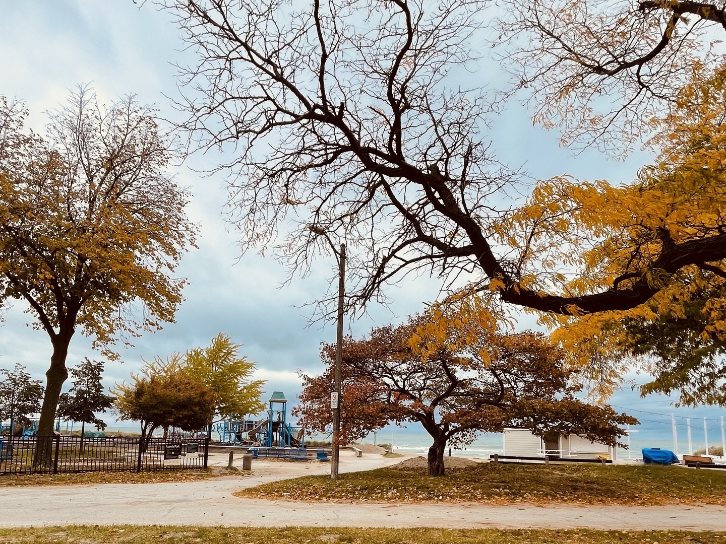 1335 W Lunt Avenue 2J