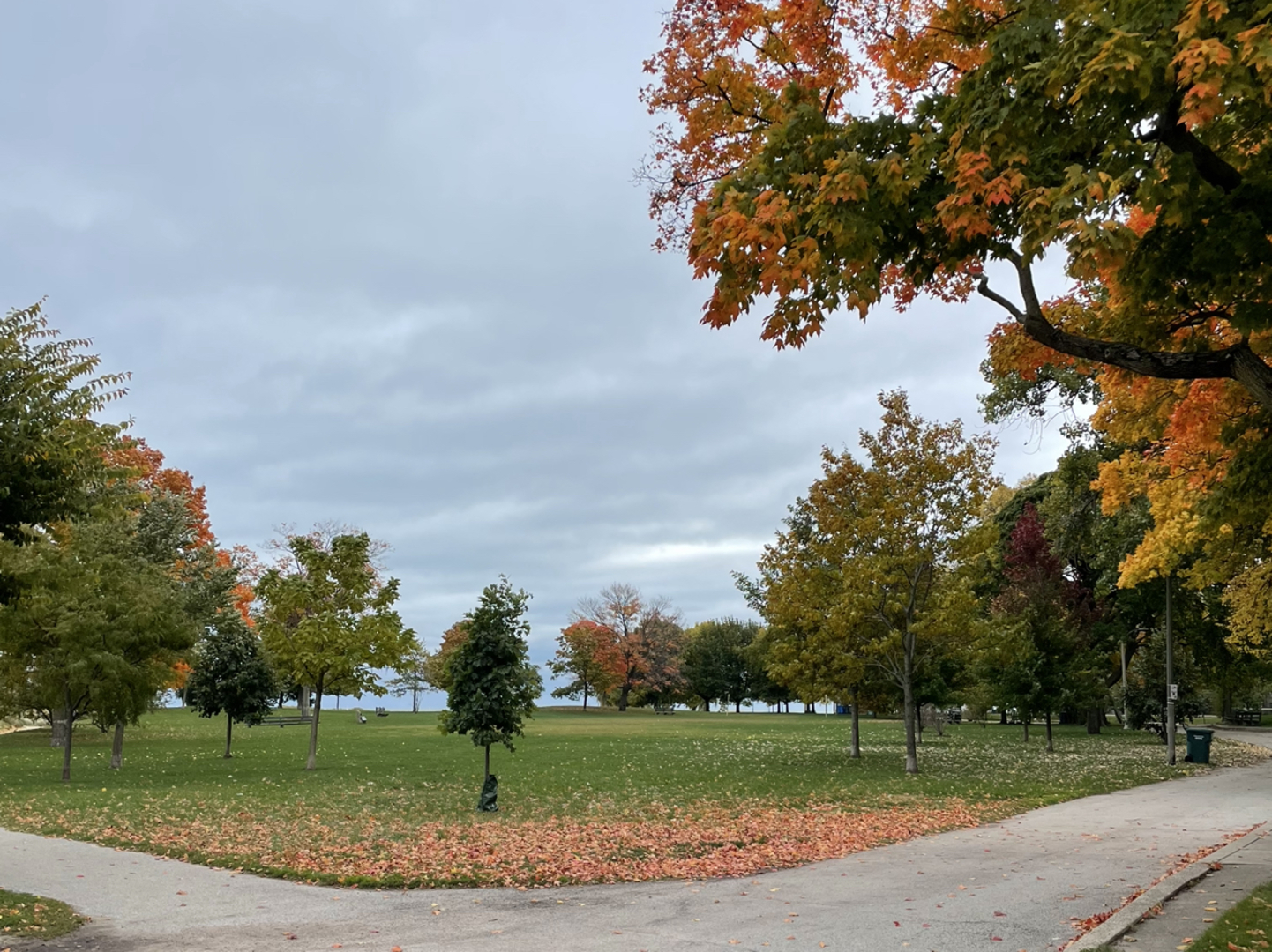 1335 W Lunt Avenue 2J