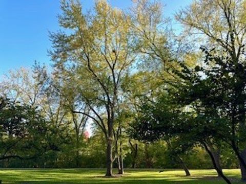 Tiny photo for 120 Lakeview Drive #109, Bloomingdale, IL 60108 (MLS # 12504678)