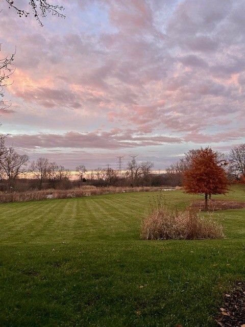 Tiny photo for Warrenville, IL 60555 (MLS # 12561533)