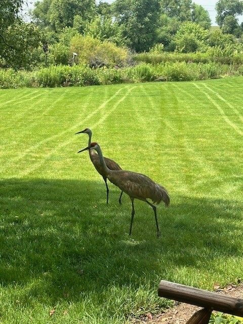 Tiny photo for Warrenville, IL 60555 (MLS # 12561533)