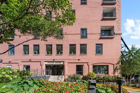 345 N Canal Street 1003 Chicago IL 60606
