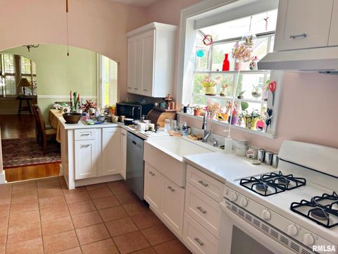 Tiny photo for 610 Metropolis Street, Metropolis, IL 62960 (MLS # EB459397)