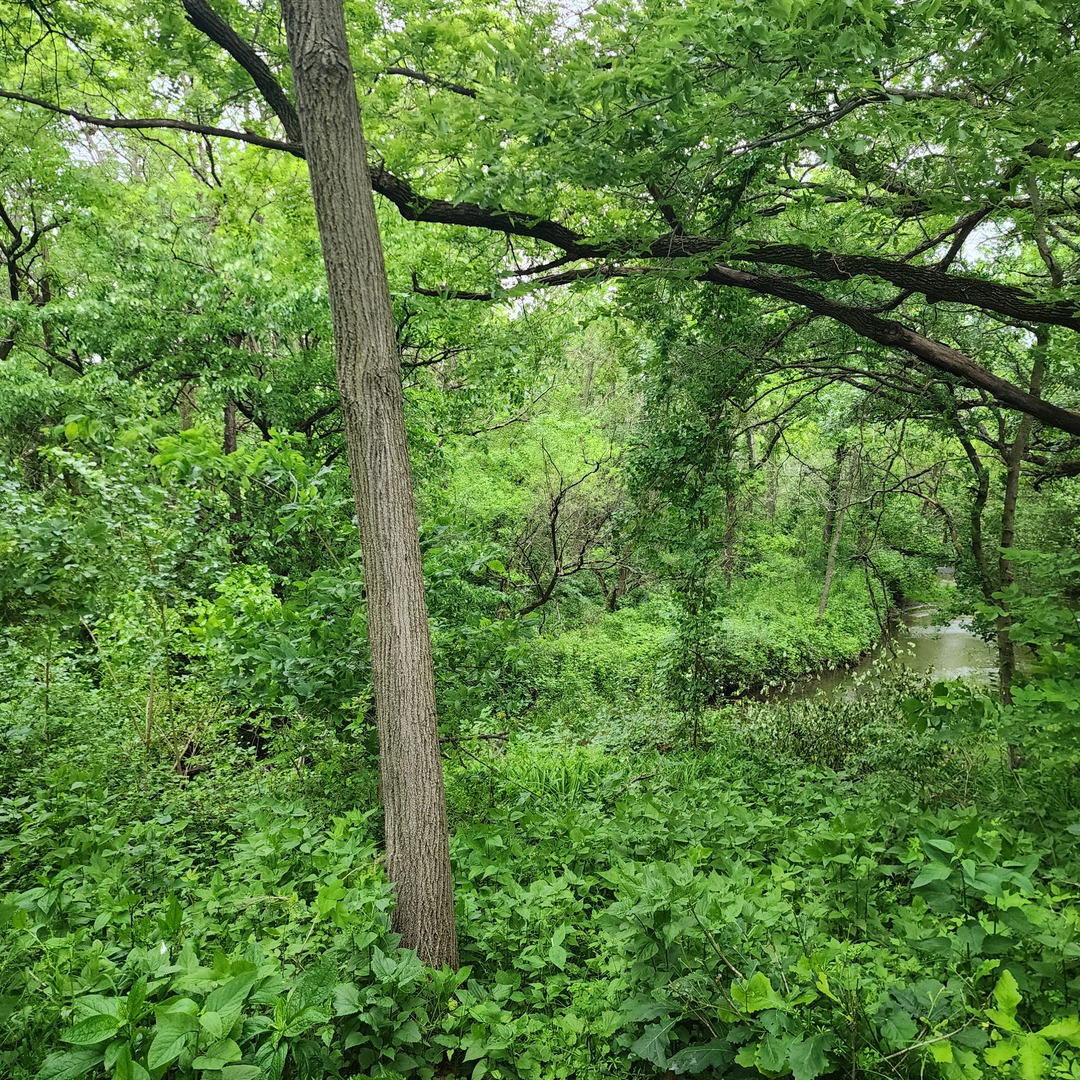 Lot 3607 E 1769 Road