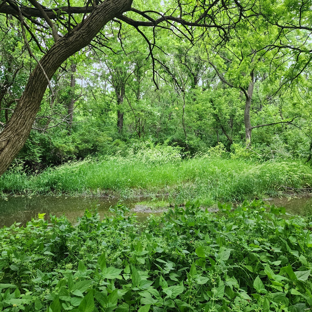 Lot 3607 E 1769 Road