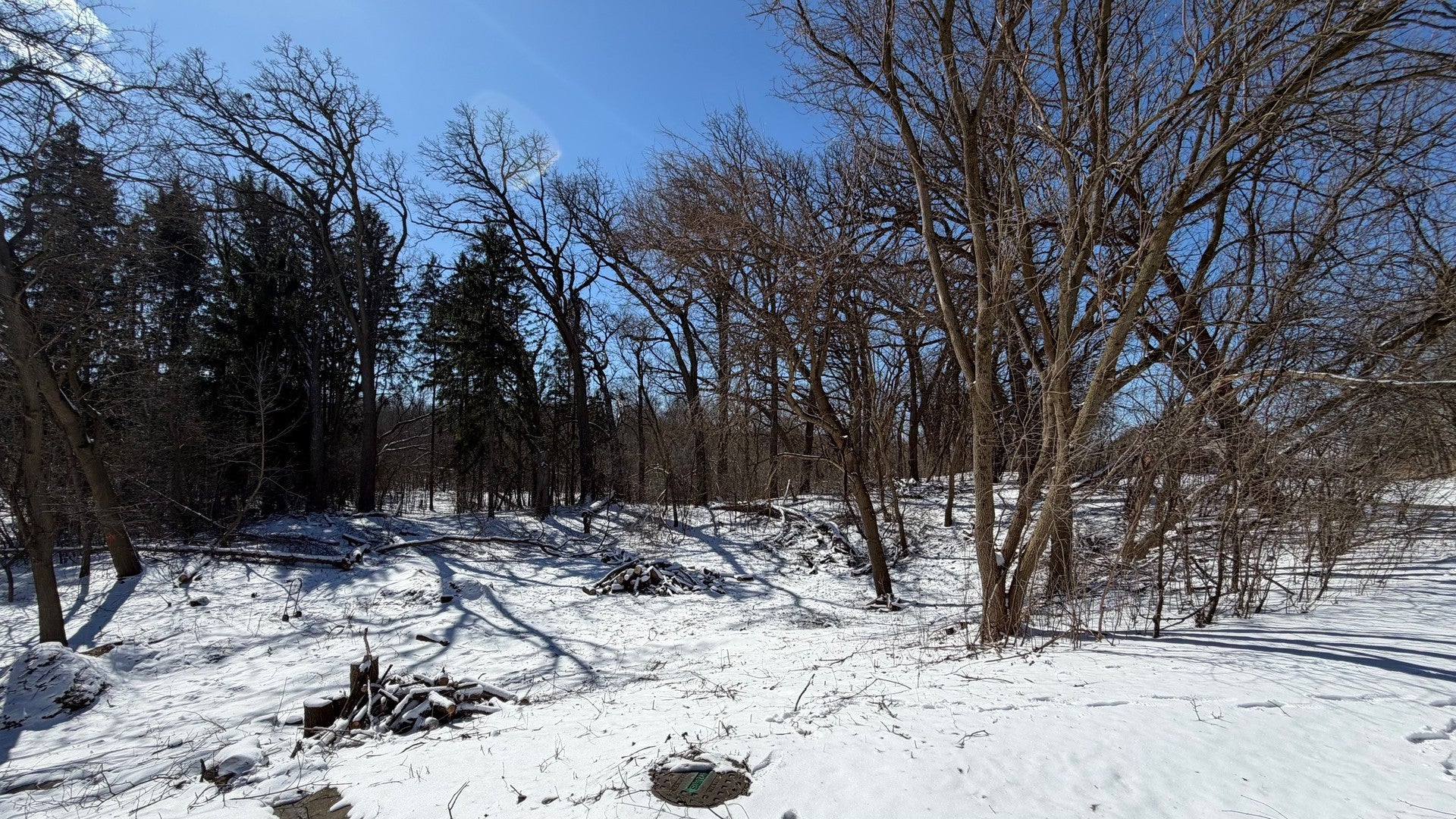 Lot 1 Asbury Avenue