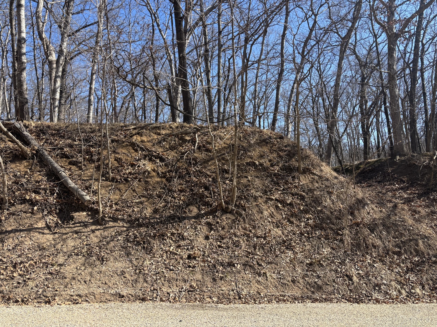 1742 Tanglewood Drive